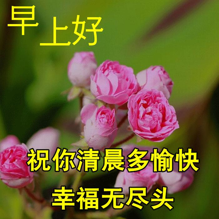早上好朋友微信群发早安祝福语简短短信最新最火早安祝福表情图片