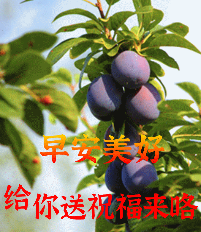 早上好!今天是7月2日,最漂亮的动态图和祝福送给大家!