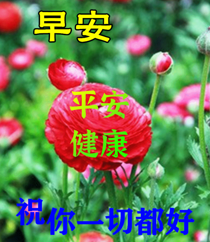 7月5日最漂亮早上好动态表情图片大全早晨好动图美图大全