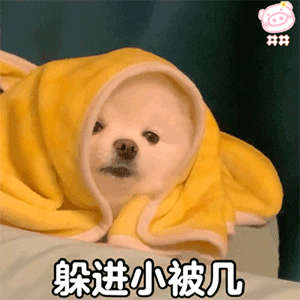 勇敢牛牛不怕困难表情包合集45个沙雕表情包