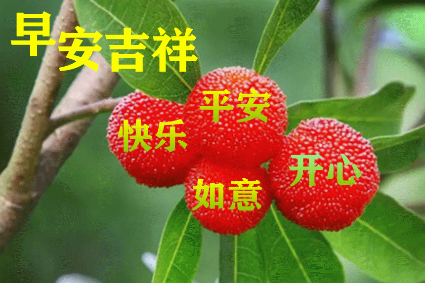 7月9日最新早上好动态表情图片大全早上好问候语句子
