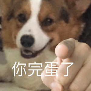 抖音超火的指人表情包 | 指到谁请我喝奶茶_腾讯新闻