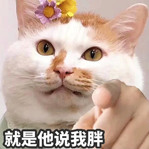 适合怼人的表情包丨你在教我做事