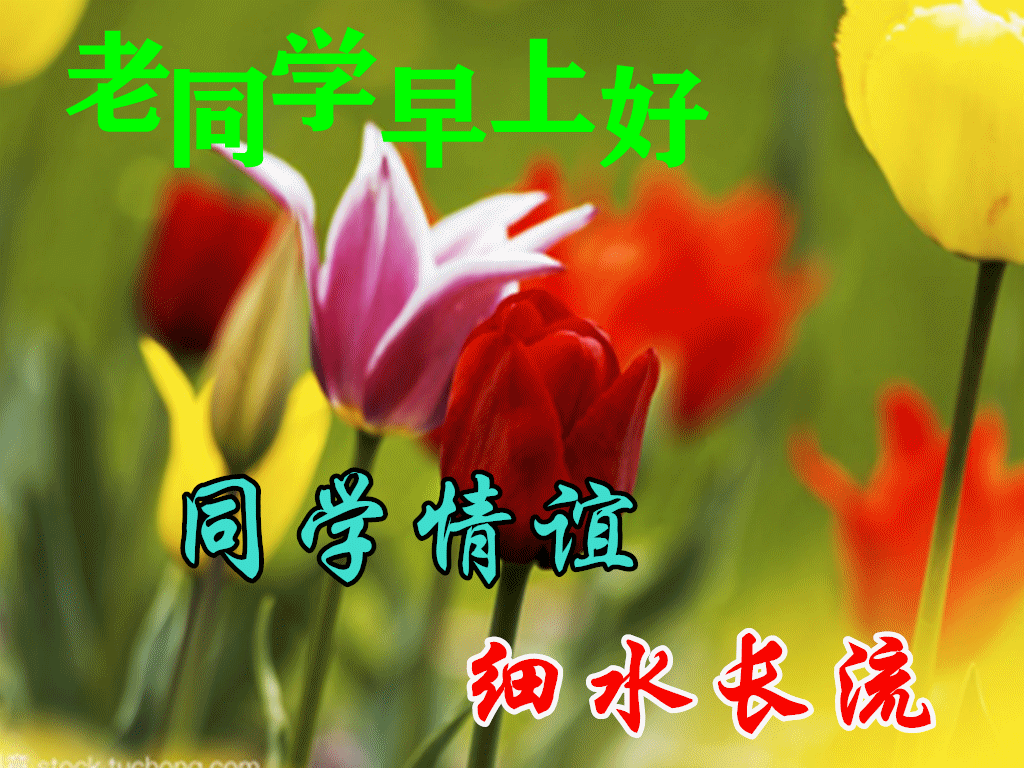 早上好朋友,最新漂亮早安问候语图片,最美早上好动态