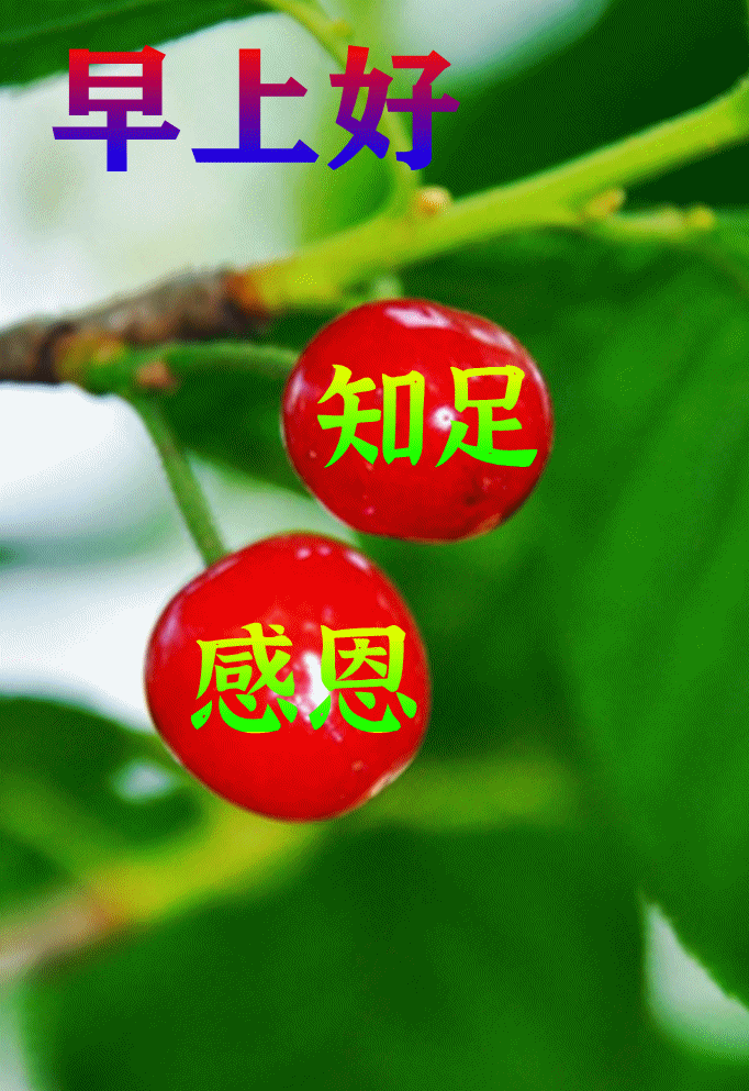 7月25日最漂亮早上好动态表情图片大全,早晨好动图美图大全