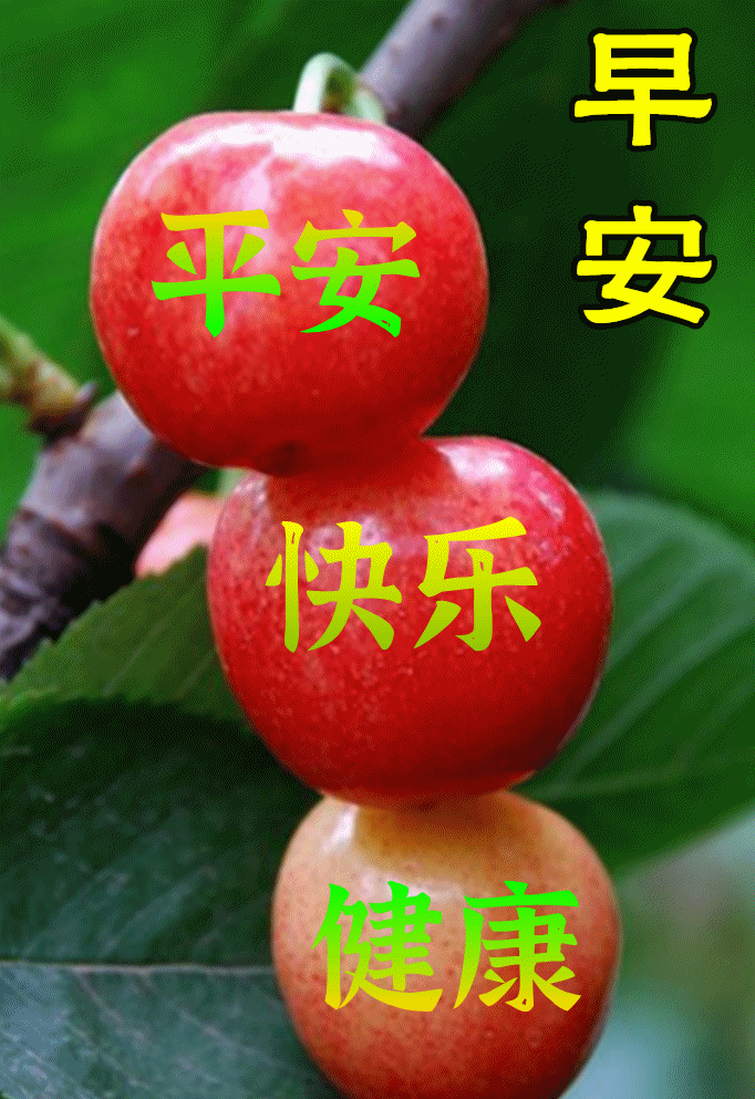 7月25日最漂亮早上好动态表情图片大全,早晨好动大全