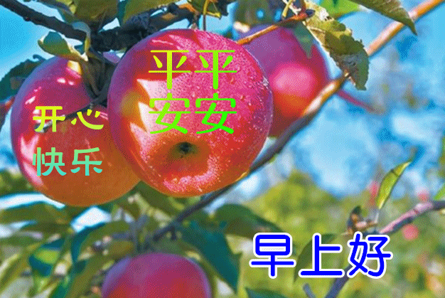 7月21日最新中伏动态表情图片大全,早上好问候语句子!