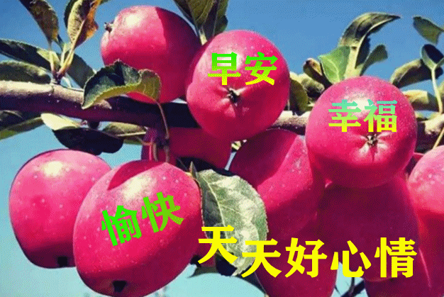 7月21日最新中伏动态表情图片大全,早上好问候语句子!
