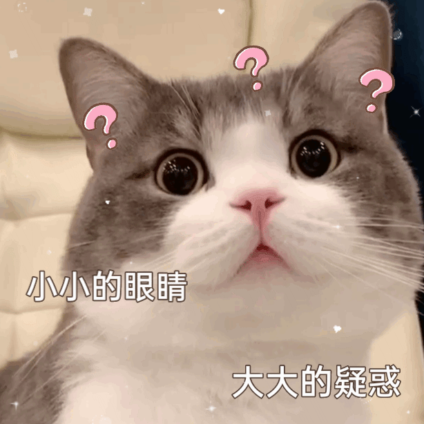 很可爱的热门猫咪表情包