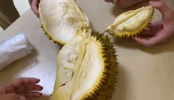 本来平平无奇一个小榴莲,直接让@栗子 变成大户人家.