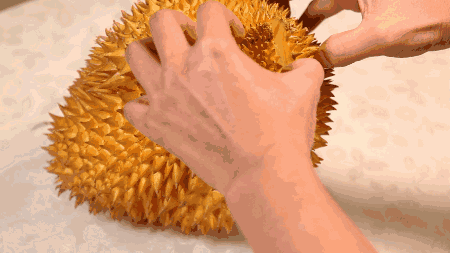 闻到榴莲就想吐的我,看了一下午开榴莲视频