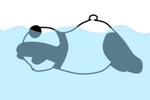 本期就来和大家聊聊水上运动项目.小同学们~今天被中国游泳刷屏了吗?