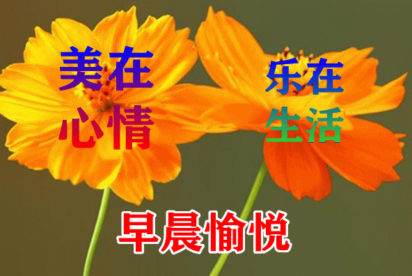 7月27日最漂亮早上好动态表情图片大全,早晨好动图美图大全