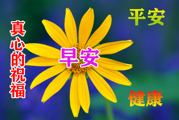7月27日最漂亮早上好动态表情图片大全,早晨好动