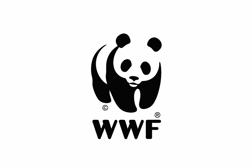 大熊猫由濒危降为易危国宝地位将不保专家莫慌问题不大