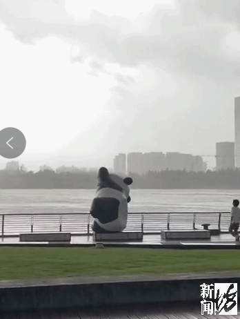 徐汇滨江的充气大熊猫登上热搜位凭借一己之力#上海暴雨#