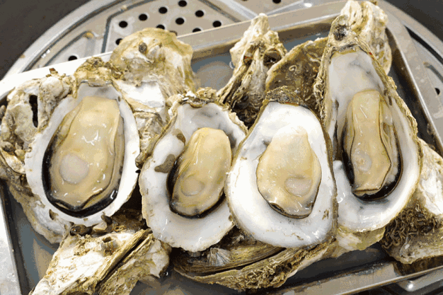 九月4种应季养生海鲜,多吃这些应季食物好处多多(海鲜