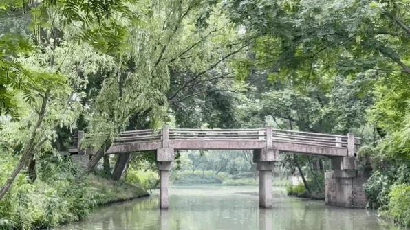 她们改造西溪湿地里的古老村落,建出一片人间仙境