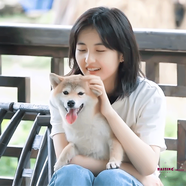 壁纸张子枫 爱动物人士已就位