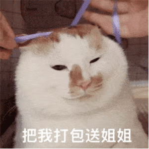 沙雕表情包把我打包送姐姐