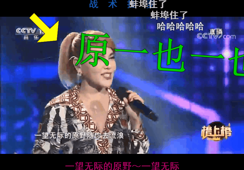 呲,蟹猴,养情郎,原一也一野"等,让这首歌的洗脑程度再创高峰,乌兰图雅