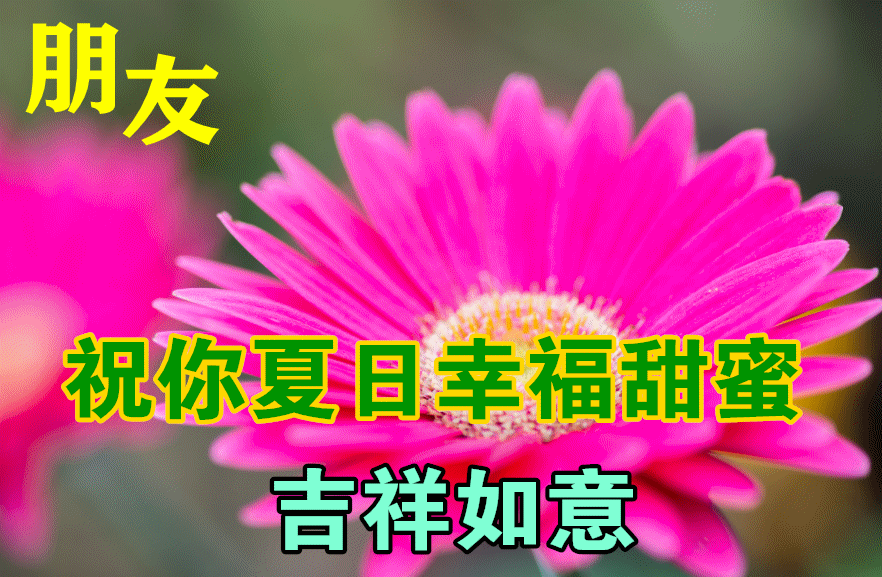 7月15日最新三伏天动态表情图片大全三伏天问候语句子