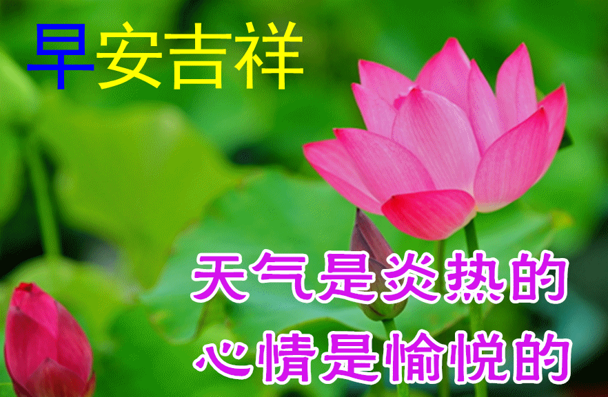 7月18日最新早上好动态表情图片大全早上好问候语句子