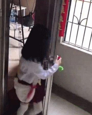 这种狗看别人养,比自己养还开心!