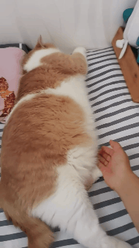腾讯新闻