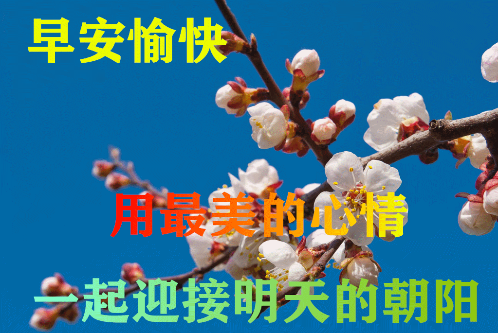 早上好星期四早上最暖心的祝福问候语表情图片早上很漂亮的问候表情