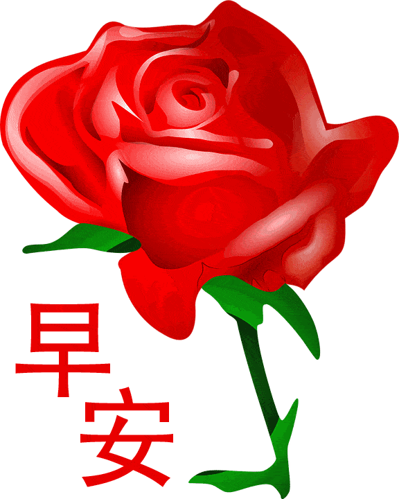 最新群发早安问候祝福语动态图片带字,早上好问候表情动画图片