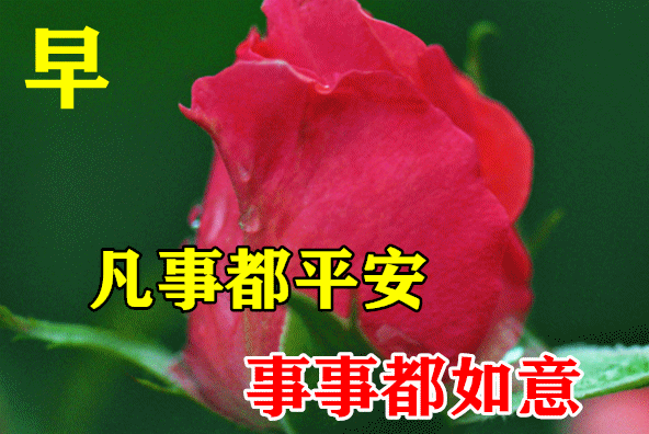 朋友群问候朋友早上好的文字图片,最新版的早上好温馨