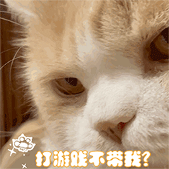 表情包丨快理我啊啊啊啊