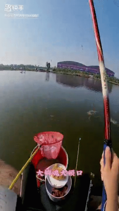 万万没想到我从上班摸鱼变成了上班看别人钓鱼