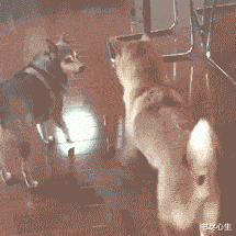 神回复情侣之间做过什么很恶心的事但不会对他人做哈哈