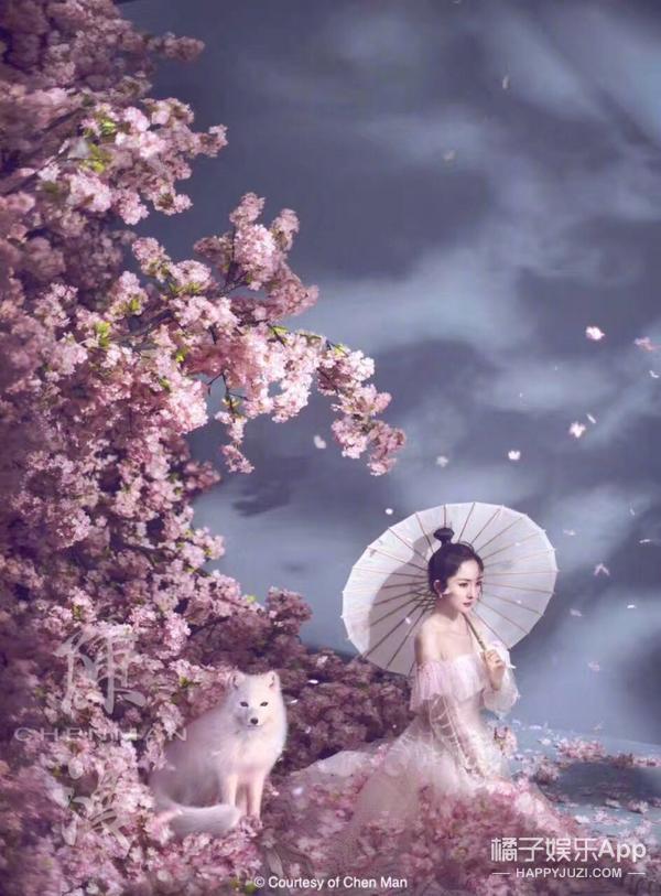 陈漫掌镜杨幂新片,落座桃花丛中的白浅上神再