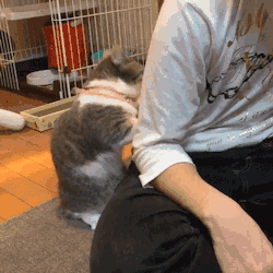 欢迎在评论区,分享你的看法!