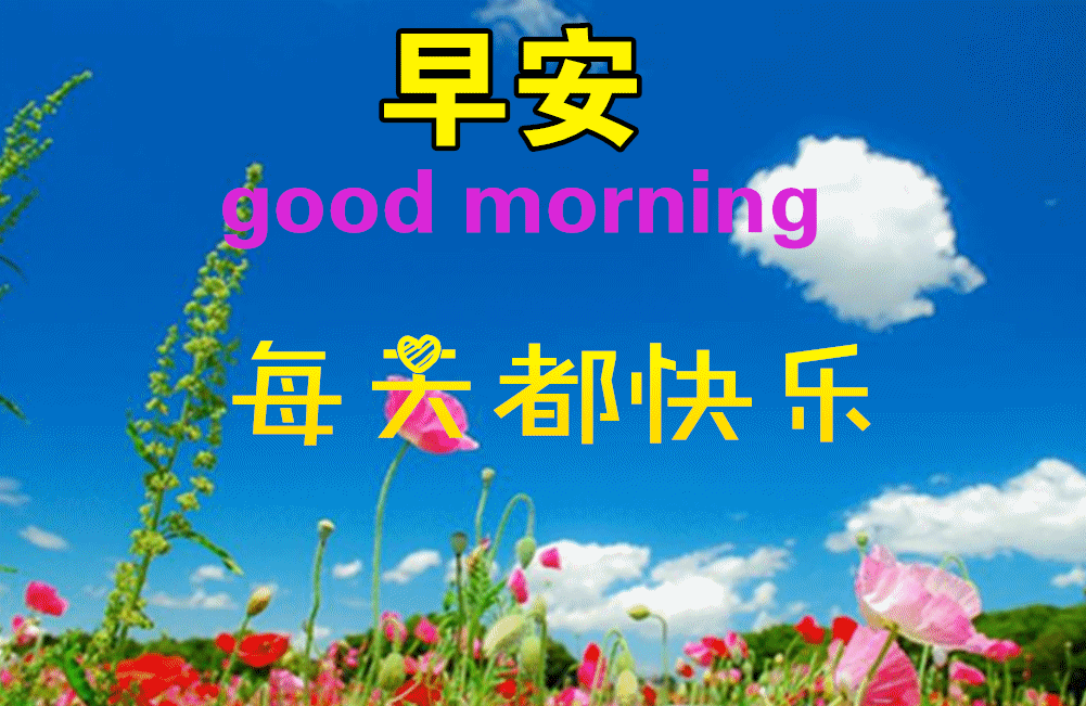 7月19日最漂亮早上好动态表情图片大全,早晨好动图美图大全