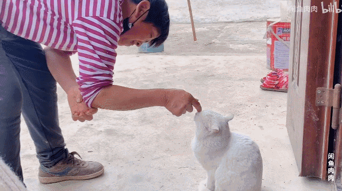 驯服全村人类,它以自己的高傲姿态不由仰头张嘴嗷呜一声,这才是朕的
