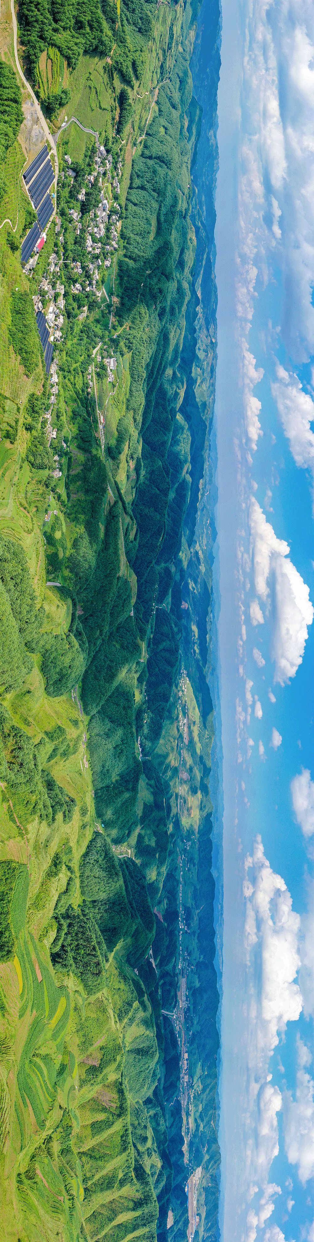 海雀村的生态传奇