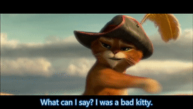 in short/in any case, we should/must/ought to.