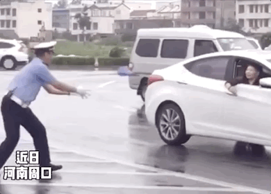 390_280gif 动态图 动图
