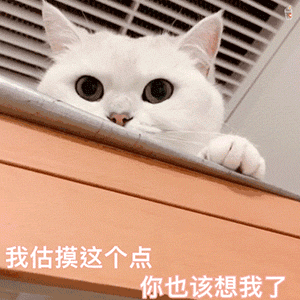 微信可爱聊天表情包|这个我能免费看的吗?