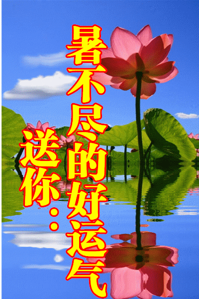 8张夏日最美早上好动态图片表情带字和鲜花,创意好看的夏天早安问候语