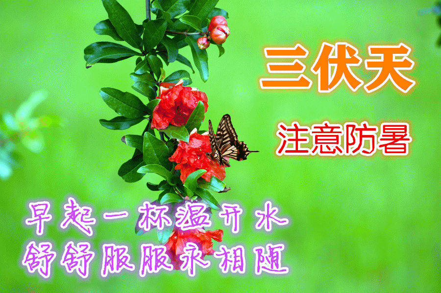 8月2日最新早上好动态表情图片大全,早晨好动图美图大全