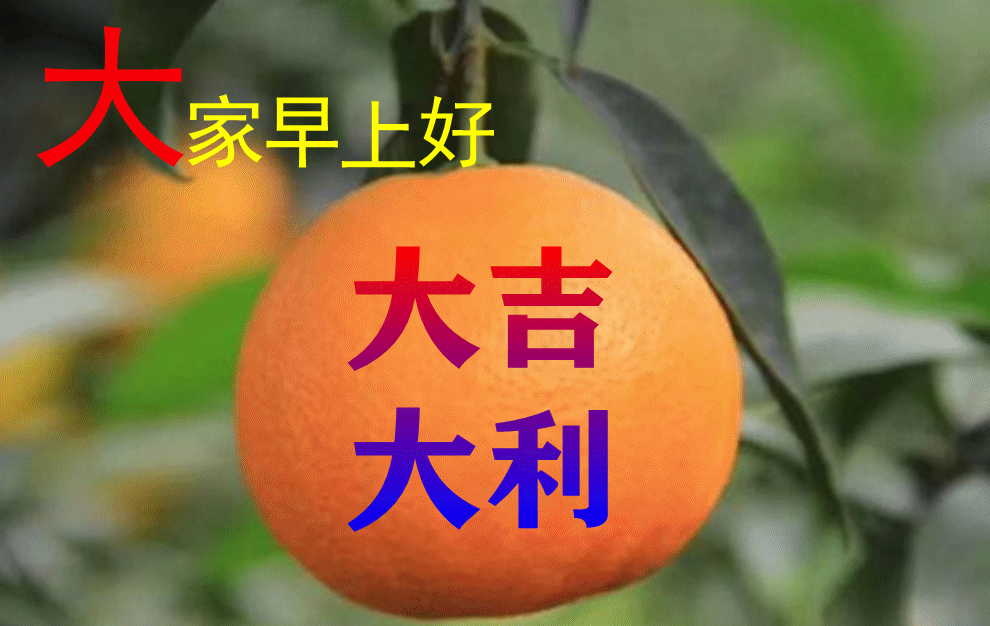 8月20日早上好每日问候