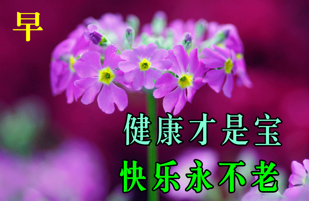 7月27日最新早上好动态表情图片大全,早晨好动图美图大全