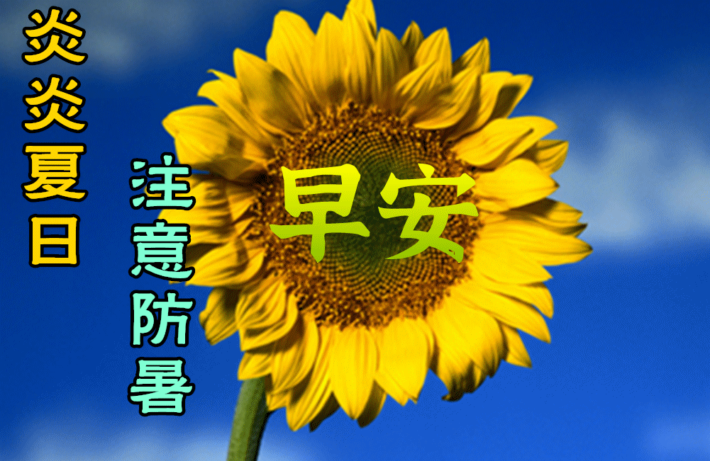 7月27日最新早上好动态表情图片大全早晨好动图美图大全