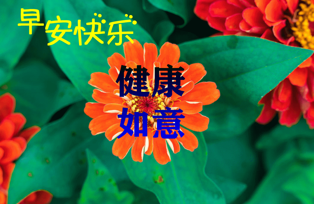 7月27日最新早上好动态表情图片大全早晨好动图美图大全