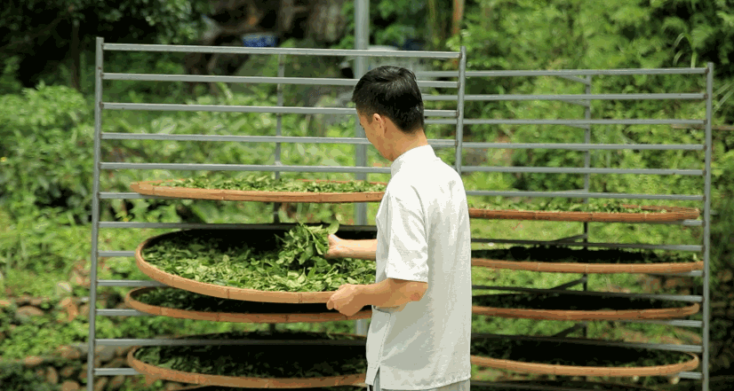 你一定背过白居易的琵琶行但你喝过白居易都点赞的浮梁茶吗